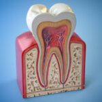root-canal-treatment-protecting-your-smile-with-lifesaving-benefits