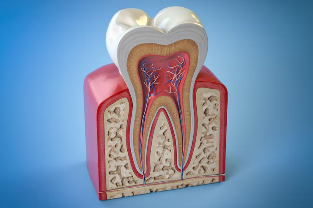 root-canal-treatment-protecting-your-smile-with-lifesaving-benefits